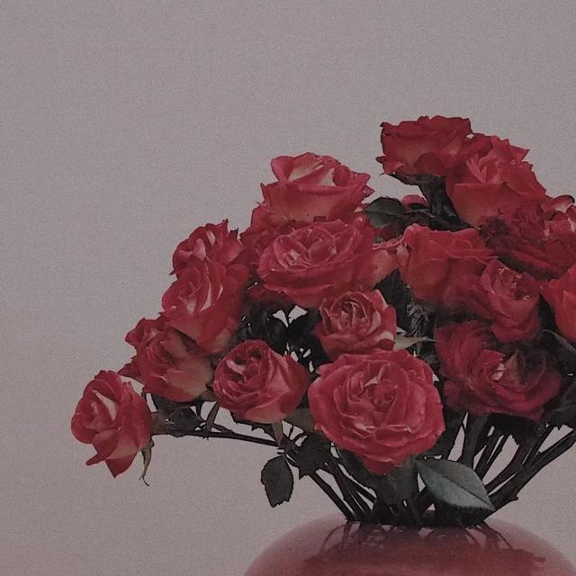“很高兴遇见你”我想对你说一万遍