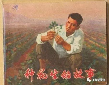 果筐破碎机自动接料