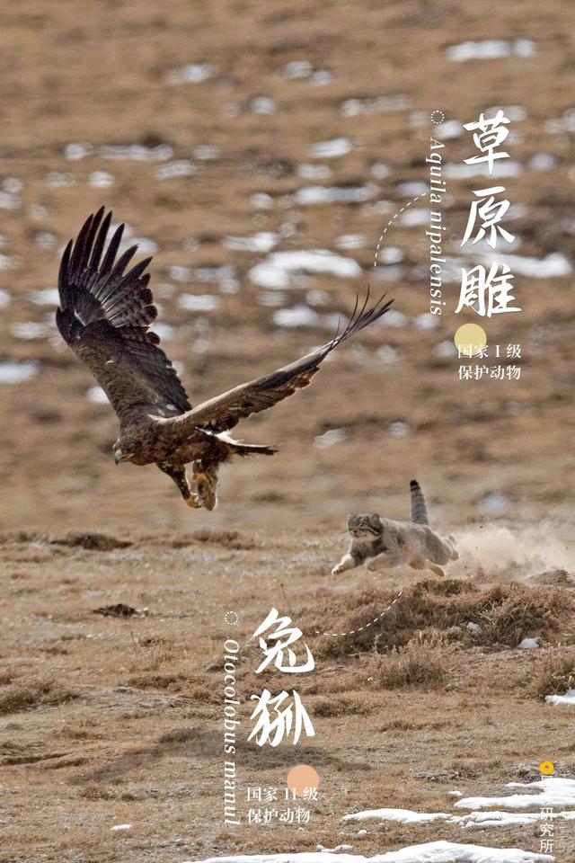 福建风化岩螺旋洗砂机多少钱
