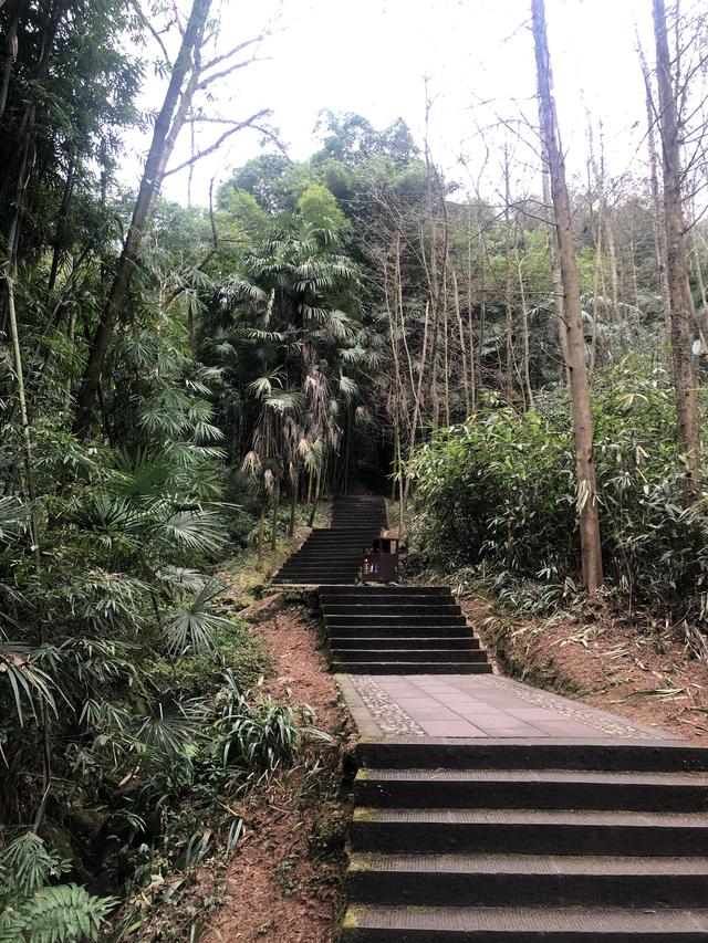 一不小心又成了夜遊~周末街子古鎮康道徒步到光嚴禅院~腳都走麻了
