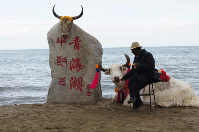 倒淌河：冷淚涓涓成流水