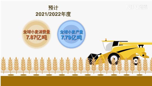 最高1.7元一斤，小麦价格涨了12%，为何麦价“大涨”？种麦赚钱吗