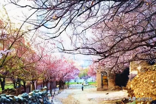2022最適合私奔的10個新疆旅行地，去過3個忍不住想結婚