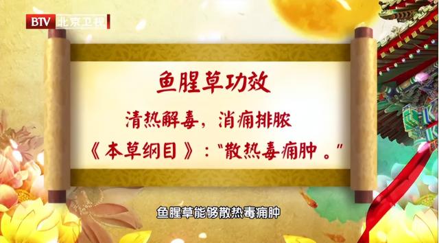 鲜嫩时是菜，晒干后能入药！这些好处多多的野菜可别错过