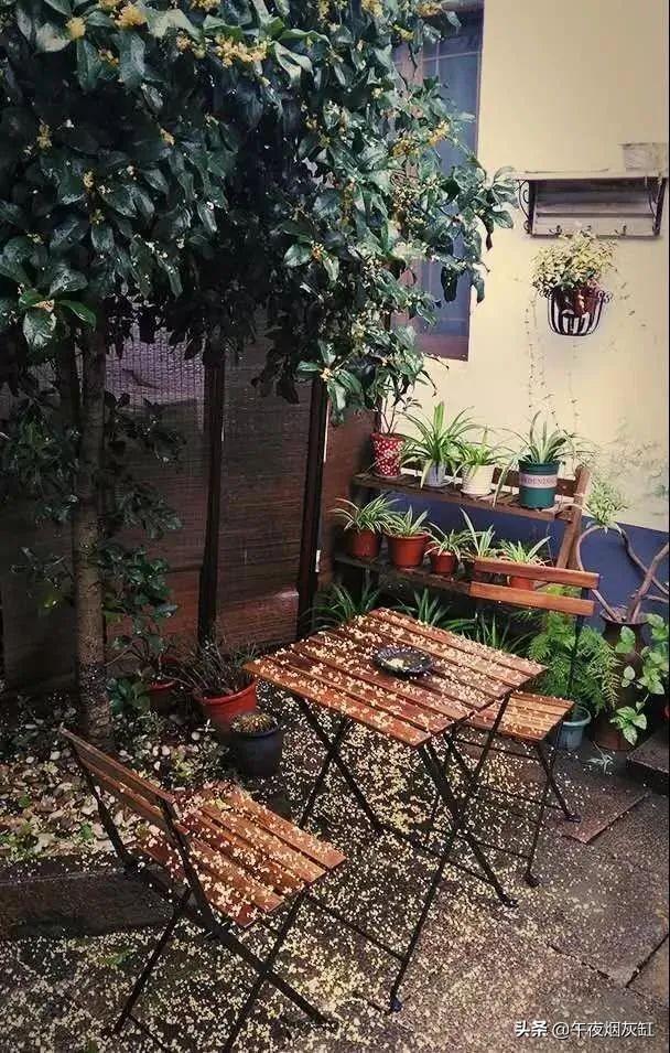 幽静小院，微雨一帘，淡茶半盏