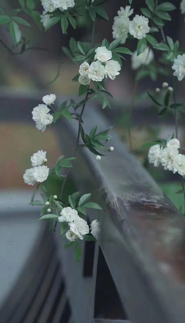 散文：人生无常，善待自己，简单生活，便是烟火中的小幸福