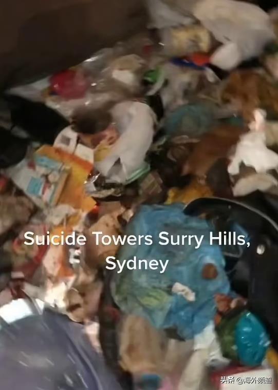 悉尼“地狱之家”火了！满地粪便，垃圾堆成山，网友看了直呼恶心