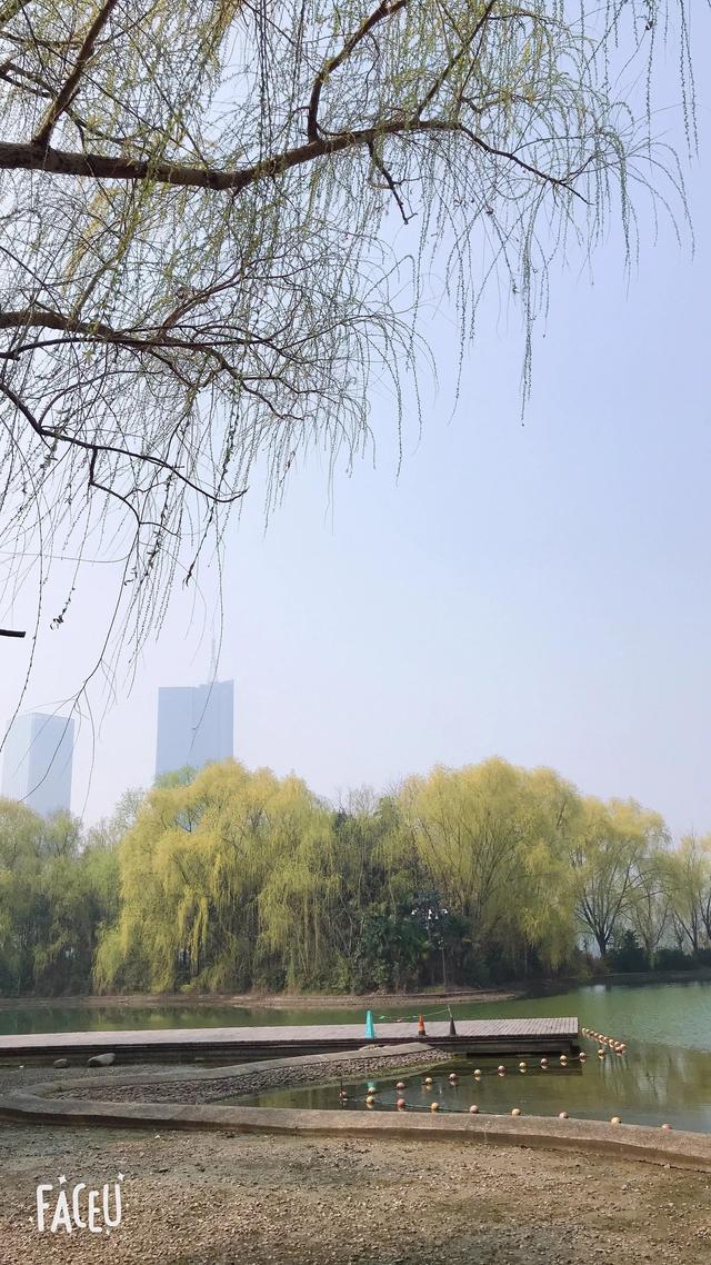 春已至，花已开，人间皆安—唯愿疫情早过，回到烟火平常的日子