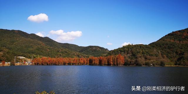 年末了，舉家住到了酒店，爲啥？2021年末我們的隔離生活一