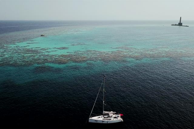 黑色东星斑图片，清蒸东星斑图片
