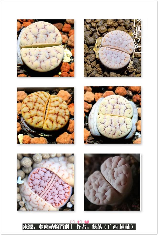桂林滚筒式洗砂机厂家