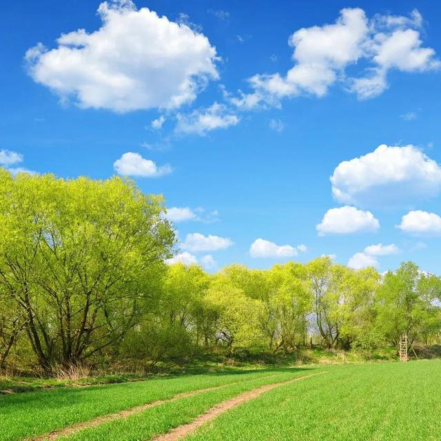 美丽图片风景 微信图片