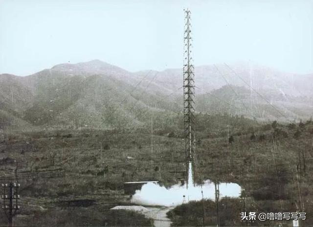 为人类太空事业做出贡献的动物们