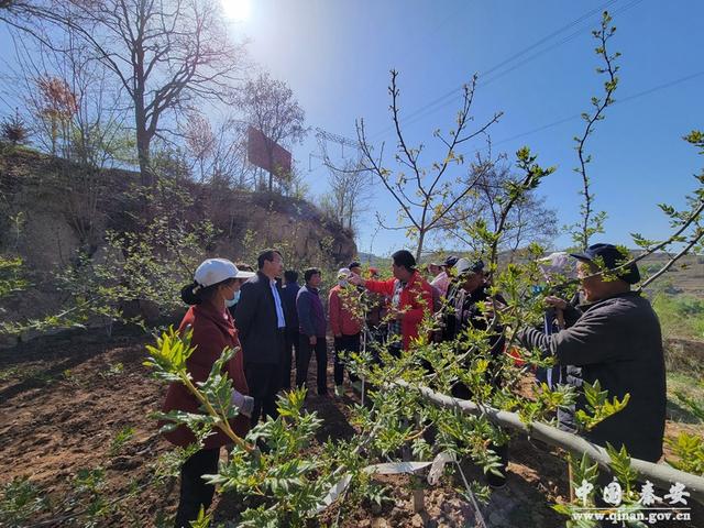 中山镇肖渠村驻村工作队：开展花椒技术培训 助力椒农增收致富