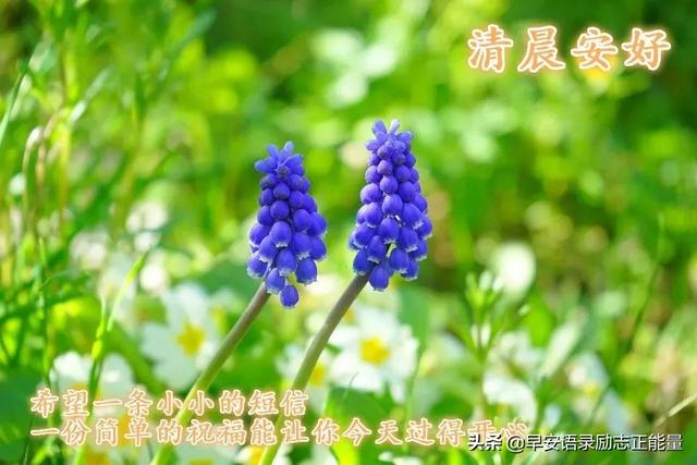 朋友圈最伤感的心灵鸡汤心情说说，朋友圈励志早安心语满满正能量