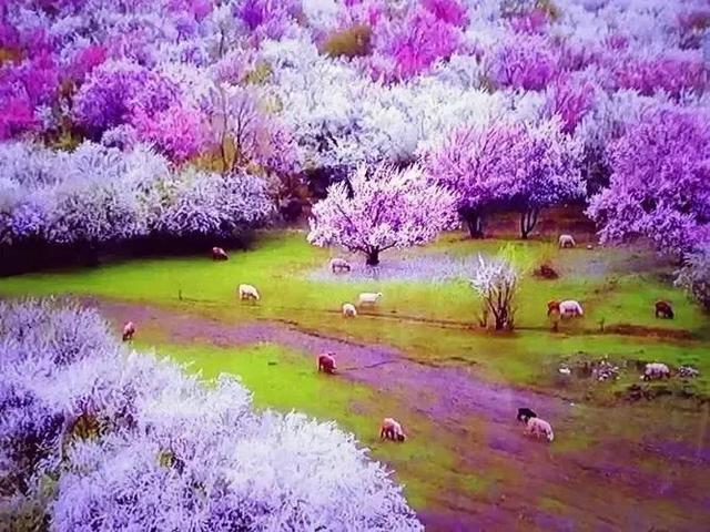 美丽的乡村