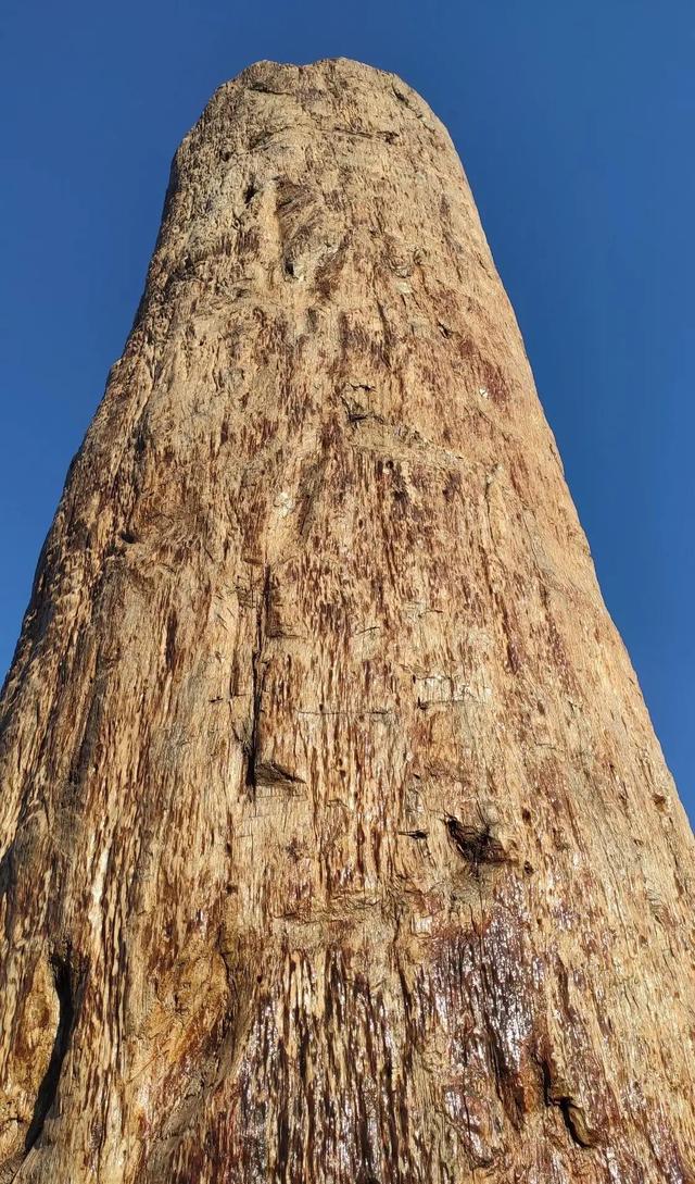 中科院北京植物園就挨著北京植物園，今天來逛一逛