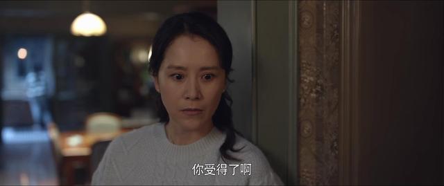 《心居》8个角色塑造排名，海清讨喜，张颂文高级，童瑶挤进前三