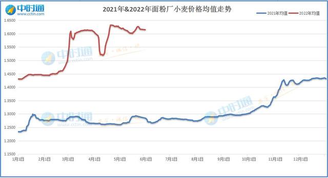 5月26日，小麦行情实况，大跌！新麦跌破1.6