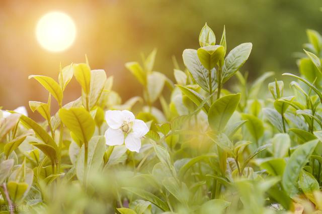 很多家长不知道，用孩子的爱好特长来培养自信，自信之火可以燎原