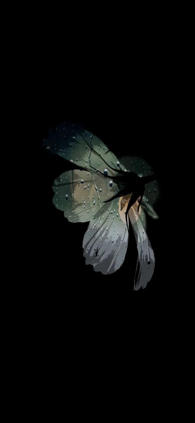 今日份抖音热门高清手机壁纸