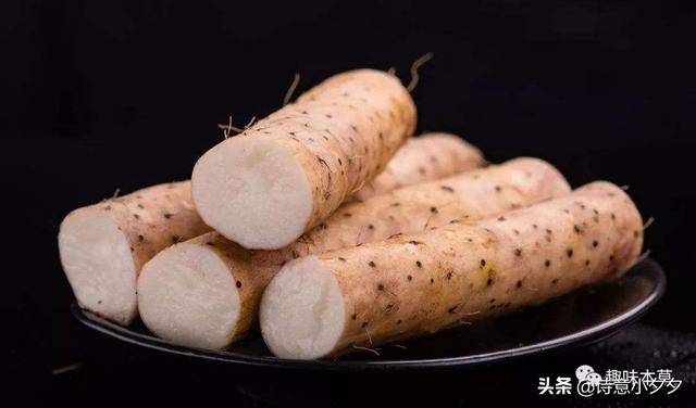 婴儿最爱吃的辅食推荐——雪梨篇