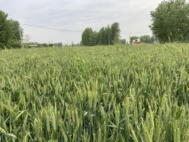 青少年吃苦夏令营(吃苦夏令营)(图5)