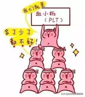 一年之計在于春，健康體檢正當時，其中這項檢查報告你看懂了嗎？