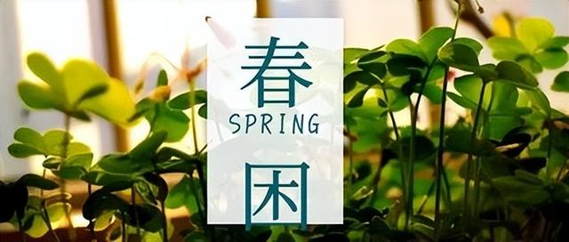 “春困”缠身，整天都无精打采？做好这4点帮你找回精气神