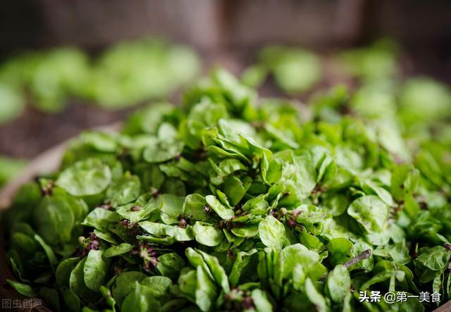 这6种常见的野菜，比大鱼大肉都鲜美，见了就拔回家，好吃不花钱