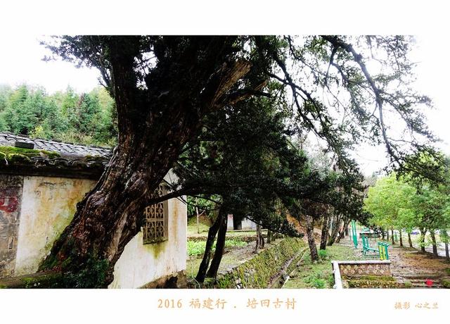 山海畫廊人間福地（178）——培田古村（十三）
