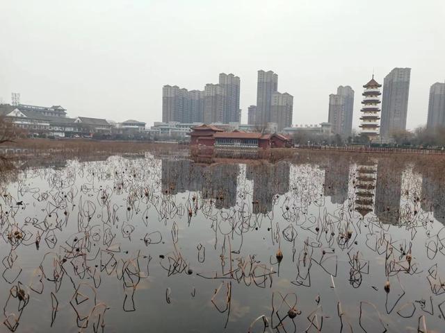 阿楚姑娘，你哪里去了