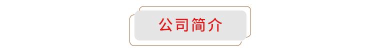 美国破碎机公司纽维尔