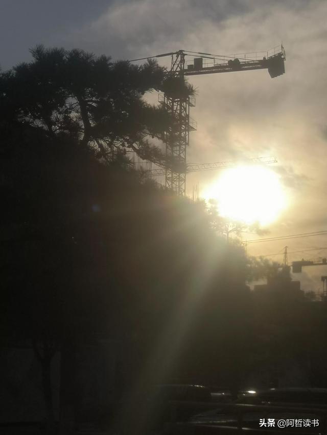霞光唱晚，落日照松间，夕阳美无限