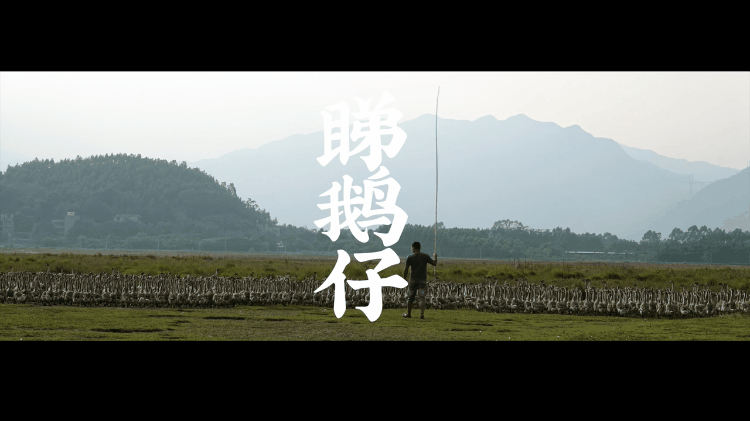 建筑用砂制砂机厂家难找吗