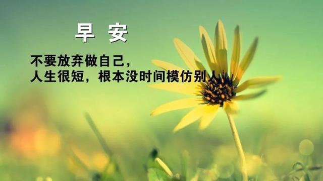 「2022.05.15」早安心语，正能量经典唯美语句，经典励志早安图文