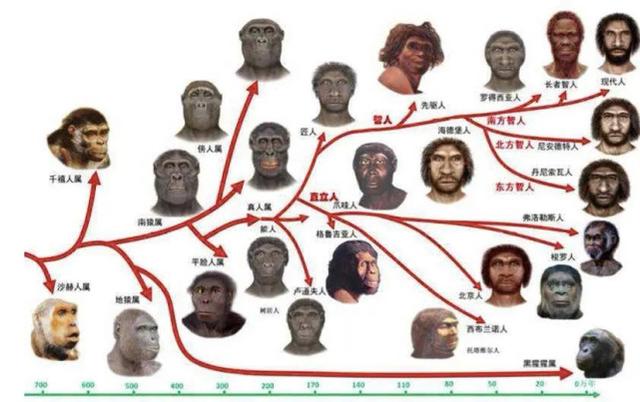 巴瑶族人仍在进化，身体异于常人，未来会成为“新人类”吗？