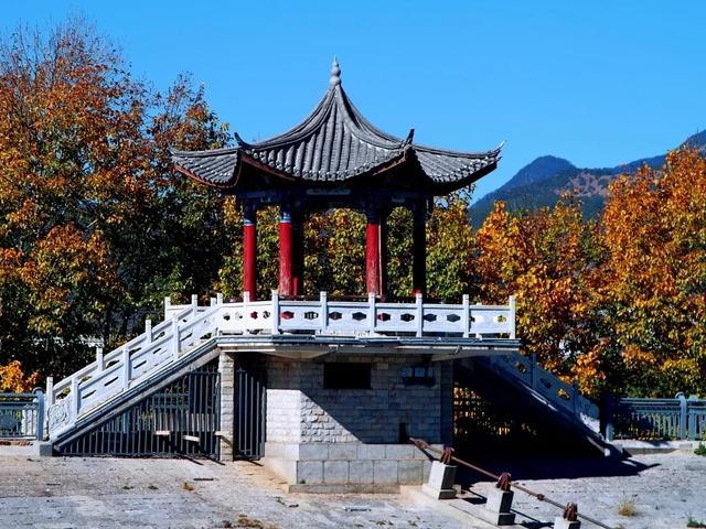 細數冬天的記憶 去清溪水庫賞最後一抹黃