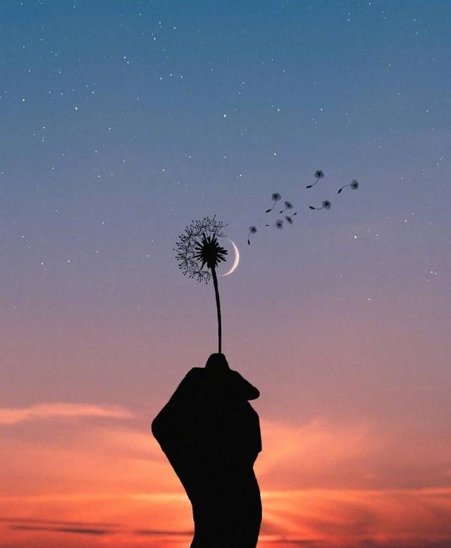 经典的精辟语录，启迪人心，话糙理不糙