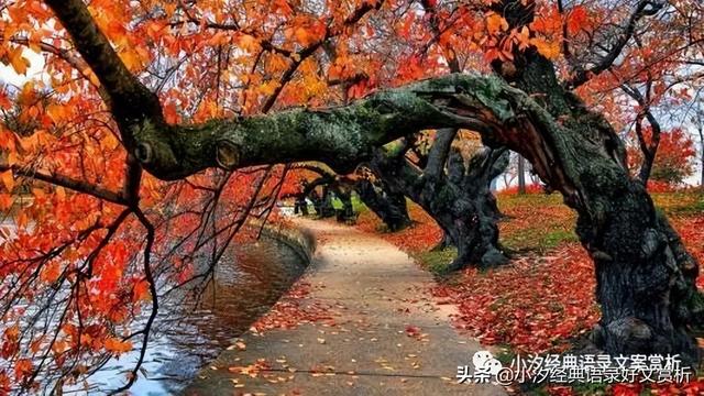 “生活就是每天吃一颗糖，然后告诉自己：今天的日子果然又是甜的