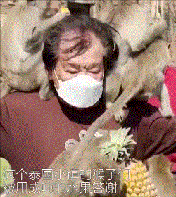 今日科技热点：终结者成为可能？可以繁殖的活体机器人诞生