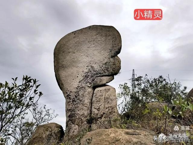 大羅山有處二師兄奇石，惟妙惟肖，你可找到過？