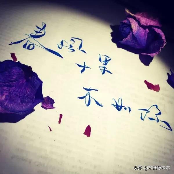 只希望她过的更好