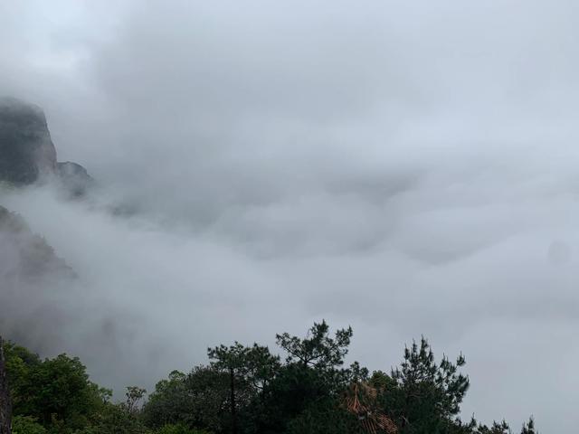 一次我是被抖音騙過來的--福建靈通山之旅