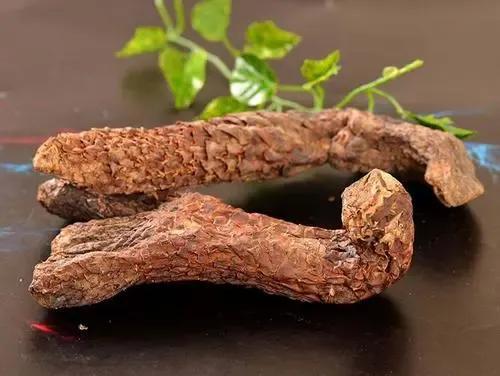 虚火内动，补肾清火反伤脾胃，遵《内经》：肾苦燥急食辛以润之