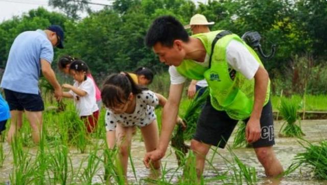 “学英语不如插秧？”人大代表提议取消英语，获大众全力支持
