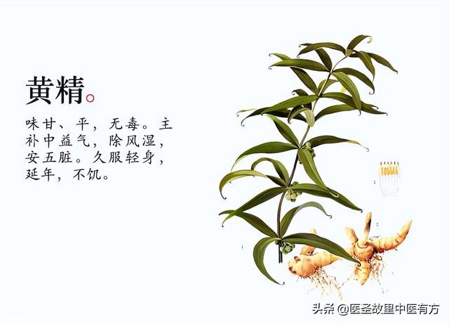 治贫血中医小妙方，再生障碍性、缺铁性、溶血性贫血皆可用