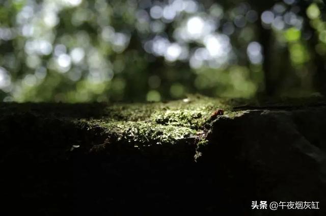 内心有光，能容万物
