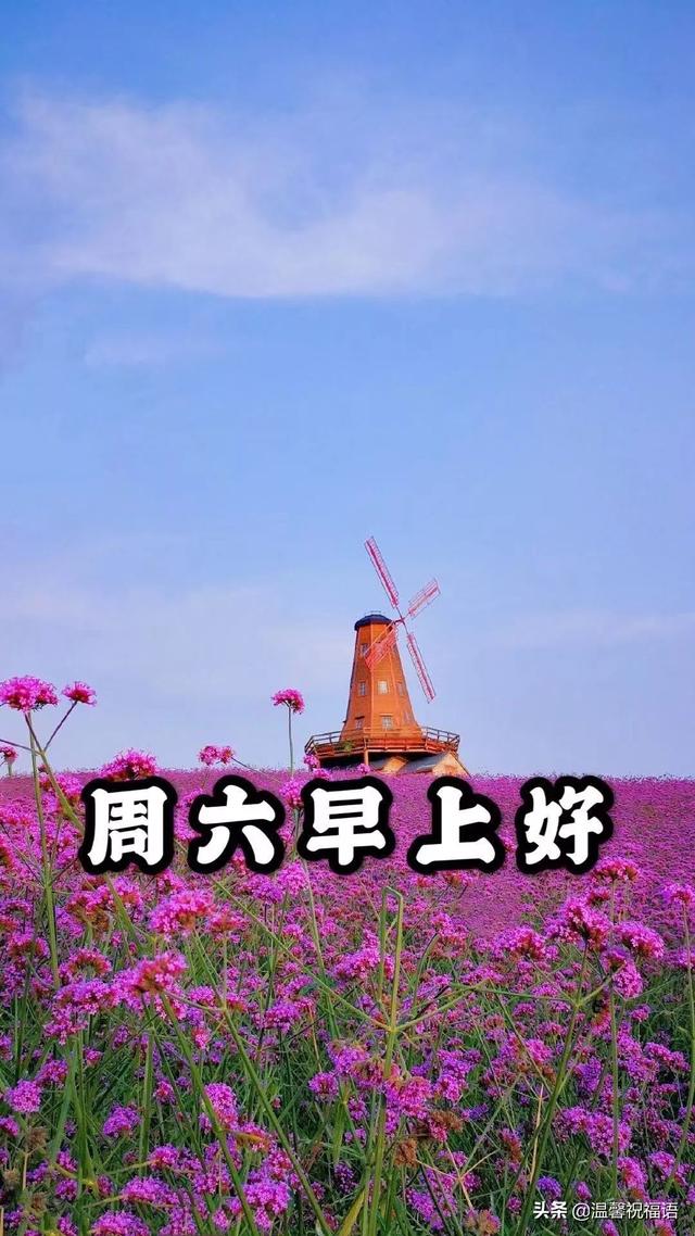 非常漂亮的週六早上好圖片帶字帶祝福語