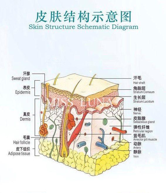 美白针能改善鸡皮肤吗